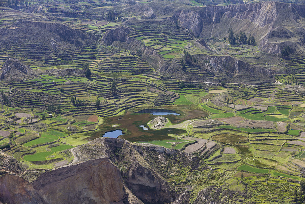 A view of Colca Canyon, Peru