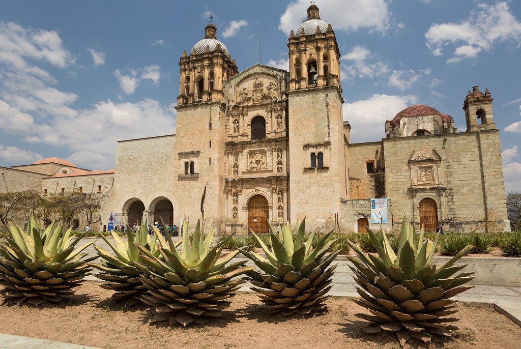 The front of Santo Domingo Church in Oaxaca City with plants on the foreground
