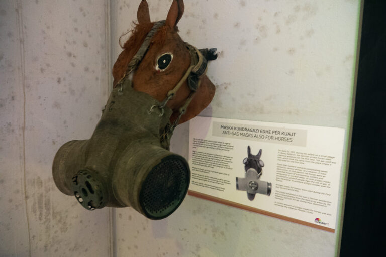 a horse’s head with an anti-gas mask, labeled in Albanian and English as used in wars