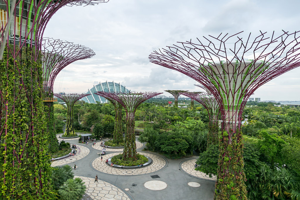The Gardens by the Bay in Singapore