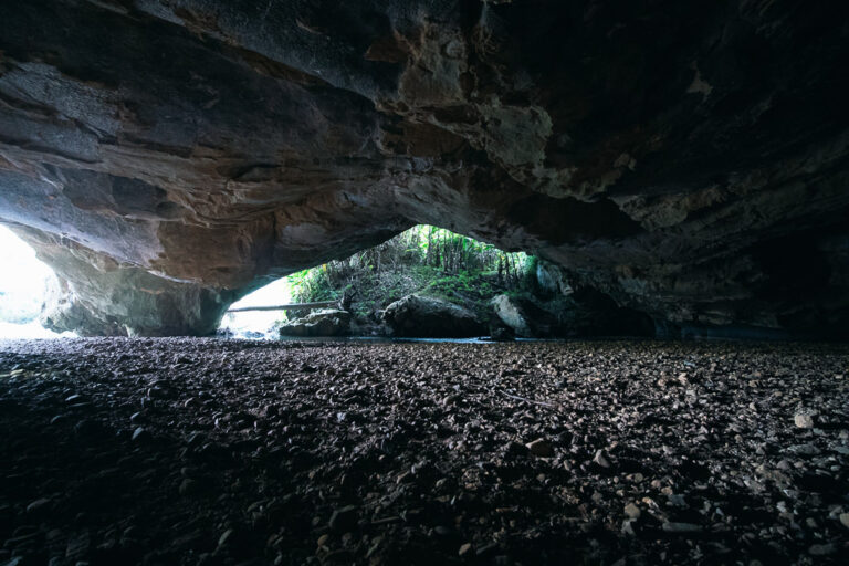 a large cave in Phong Nha-Ke Bang National Park, Vietnam