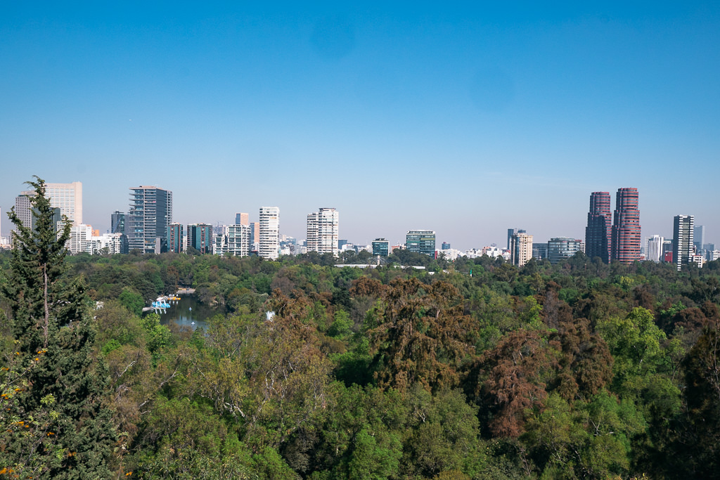 A view of trees and the city from the Chapultepec Forest