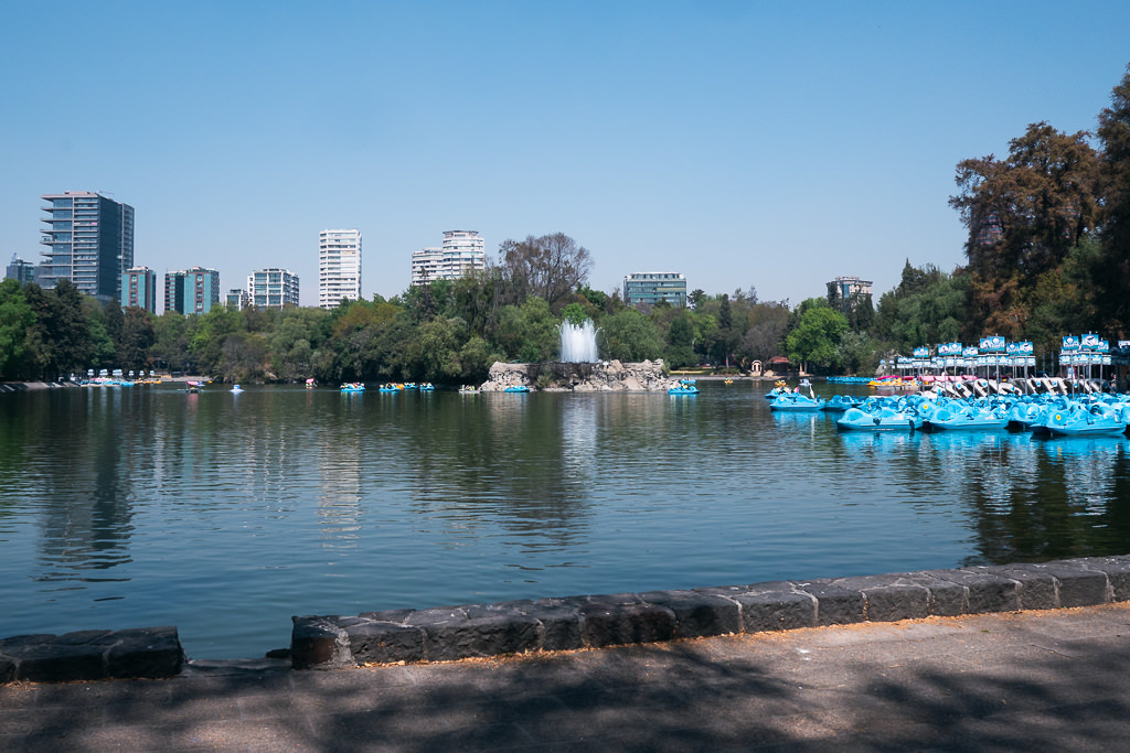 The lake in Chapultepec Forest with rowboats and a fountain with office buildings in the distance