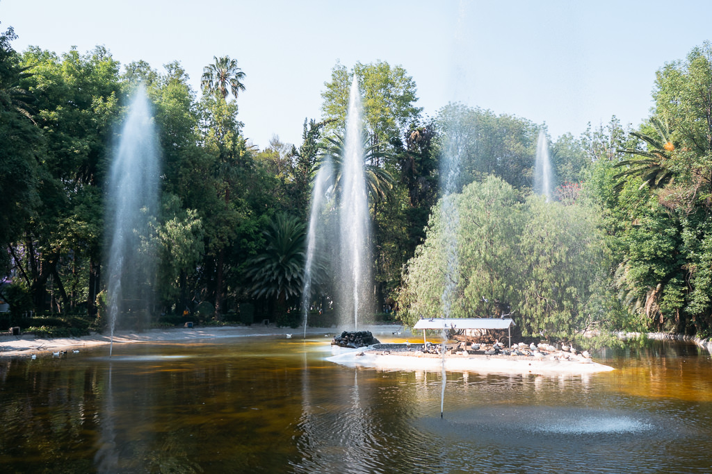 Fountains in a park in Condesa