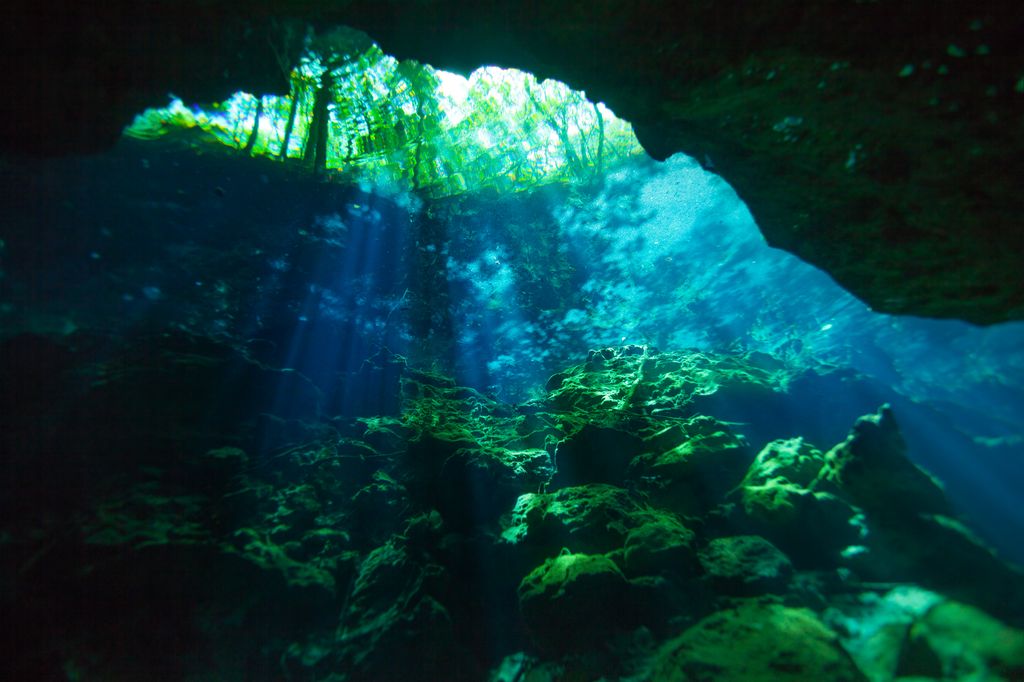 The view above from underwater Cenote Azul in Mexico