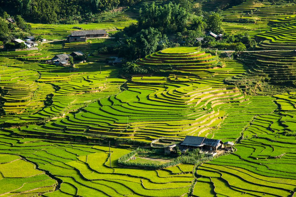 Rice terraces in Sapa, Vietnam, 3-week itinerary destination