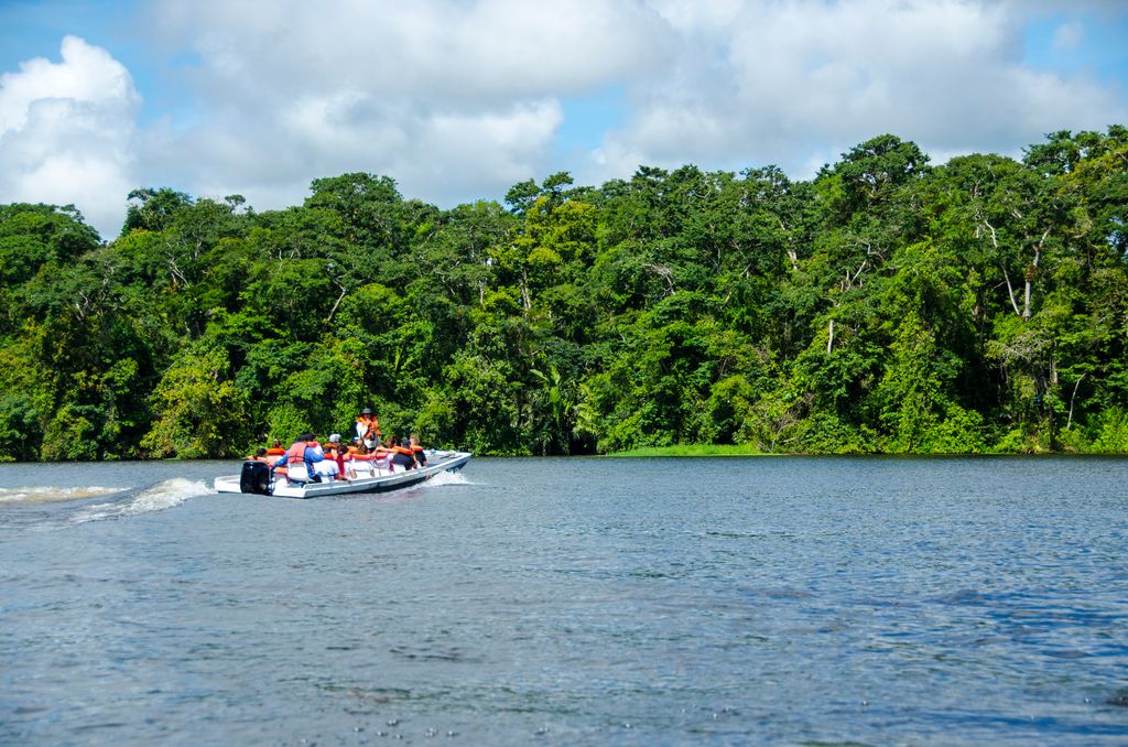 A group of people riding a small boat while bird watching at the Tortuguero Canals in Costa Rica