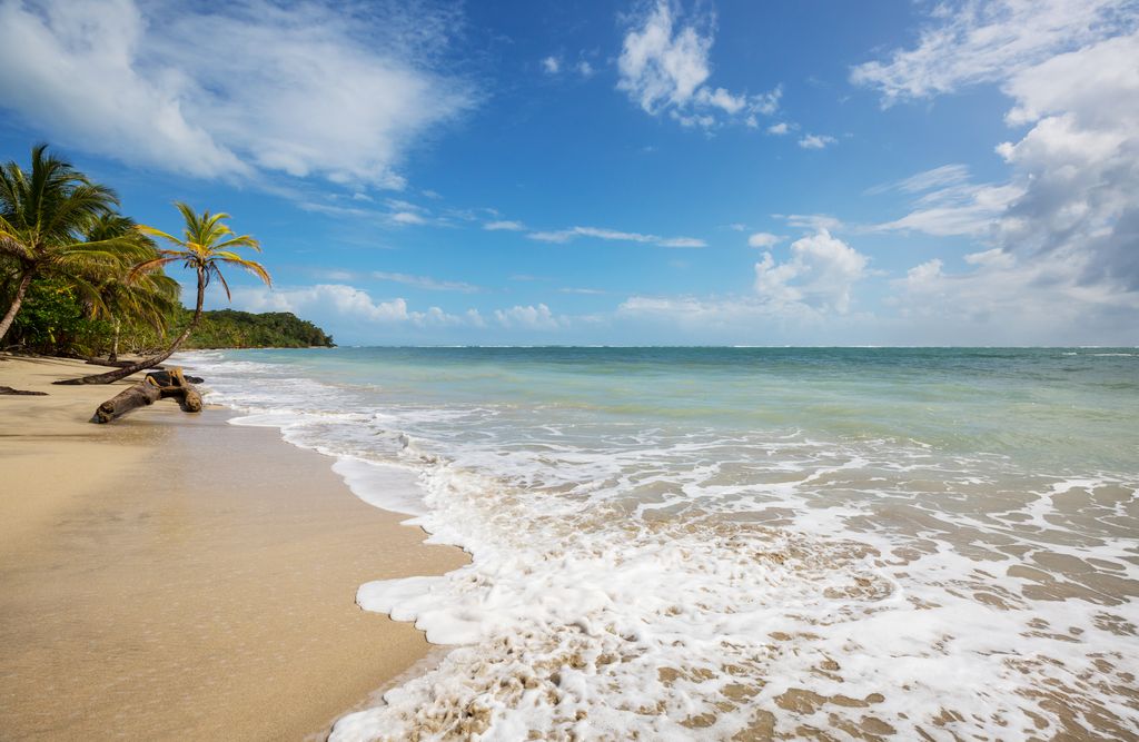 A beautiful beach in Costa Rica