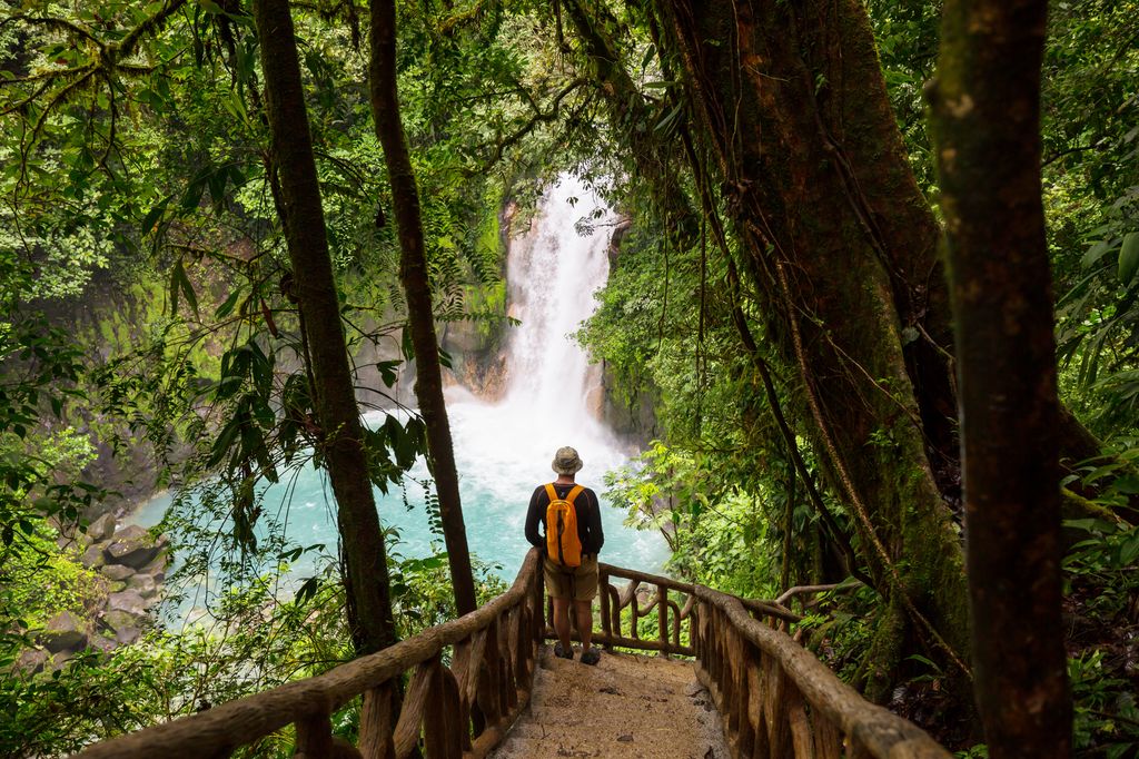A man carrying a backpack standing on a stairs and looking at a waterfall in a tropical forest in Costa Rica