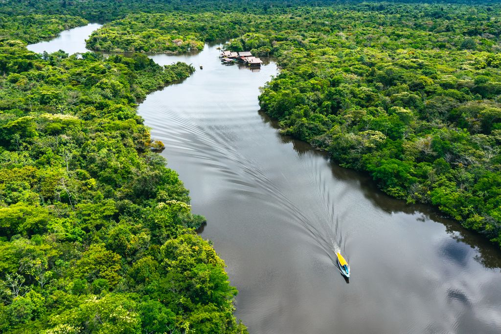 Aerial shot of a boat on the Amazon rainforest river in Peru