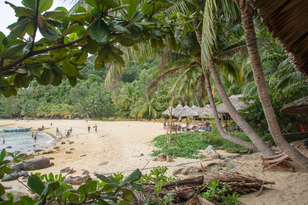 An island beach with an abundance of trees in Vietnam