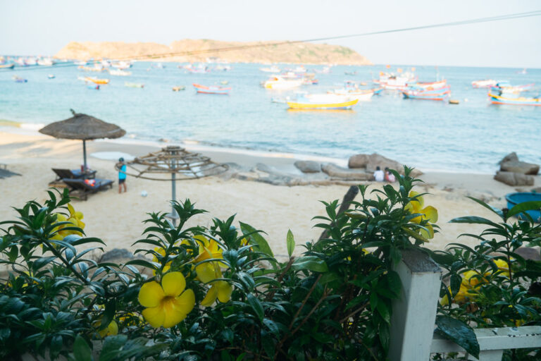 a beach scene in Quy Nhơn, showing the ocean with many colorful fishing boats all framed by flowers and plants