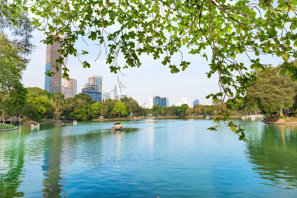 Lake in Lumpini Park with the view of buildings in the background in Bangkok, Thailand.