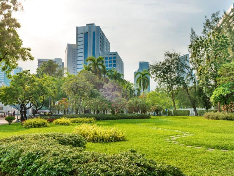Lumpini Park with buildings in the background in Bangkok, Thailand.