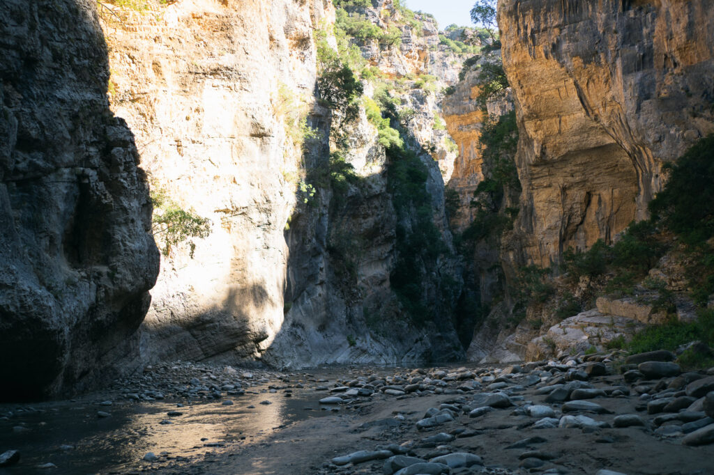 Langarica Canyon, with towering green and a sunlit shallow stream