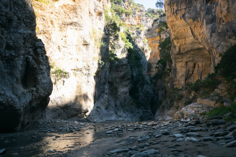 Langarica Canyon, with towering green and a sunlit shallow stream 