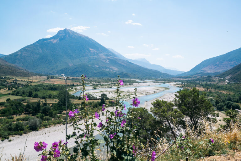 View of the Vjosa River valley near Permet, framed by purple wildflowers and green plains