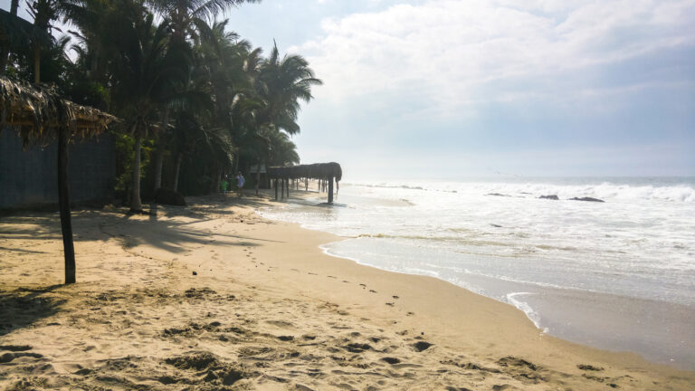 A sunny beach in Máncora, Peru, with a line of palm tree