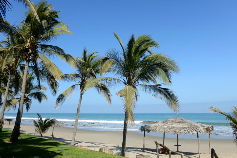 Sunny Máncora beach with tall palm trees, a straw hut, and calm turquoise waters