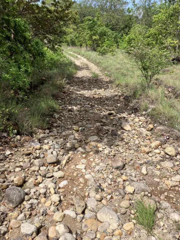A rocky, unpaved trail leading uphill in Nicoya Peninsula