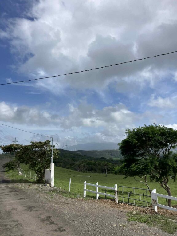 A gravel road leading to a wooden fence and gate