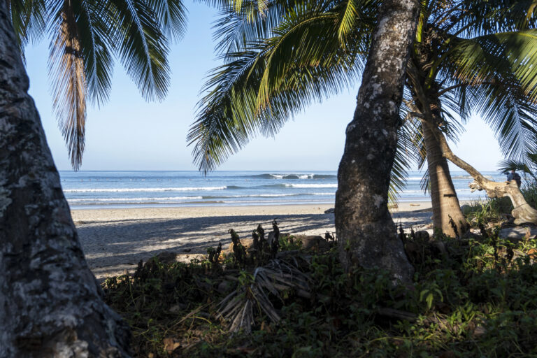 A beach in Santa Teresa, Costa Rica, with palm trees framing the view of gentle ocean waves