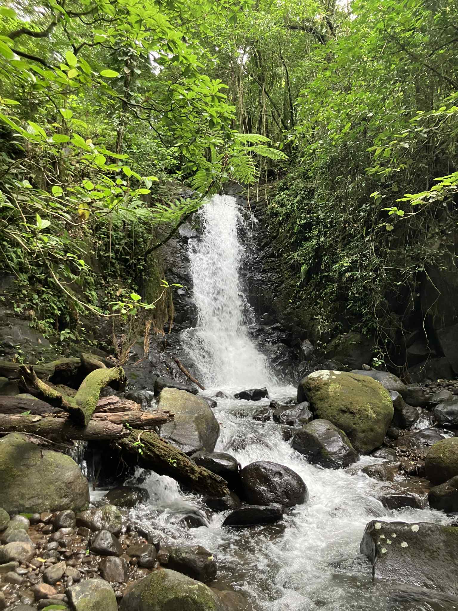 cascade waterfall plunging down into a stream bed