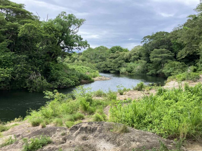 A winding river flowing through a dense tropical forest
