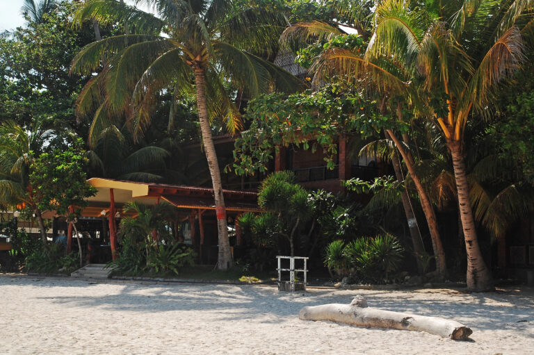 Sandy shore lined with palm trees and a rustic beach resort in Panglao