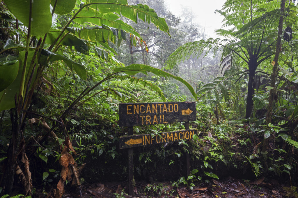 Wooden signpost in the misty Santa Elena Cloud Forest, pointing to Encantado Trail