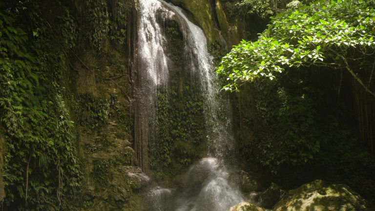 Waterfall in Bohol cascading down a mossy wall surrounded by lush greenery