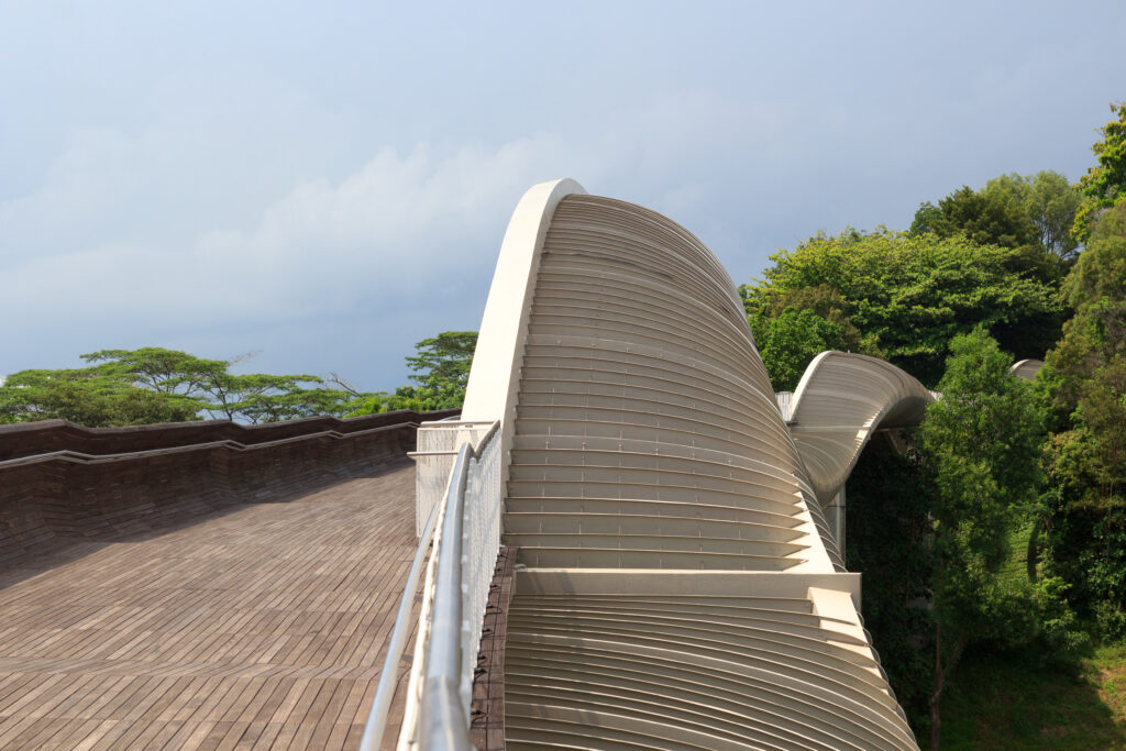 Henderson Waves on Mount Faber rainforest 