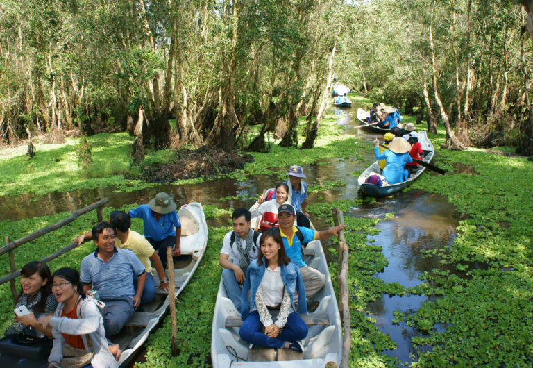 Couded boats taking travellers around Tra Su indigo forest, Angiang, Vietnam