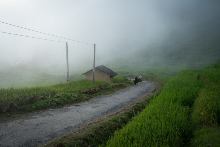 Terraced rice field landscape with low clouds in Y Ty, Bat Xat district, Lao Cai, north Vietnam