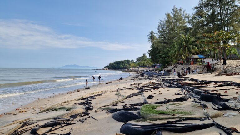 Batu Ferringhi beach in Penang with sandy shore, scattered debris, and people enjoying the waves