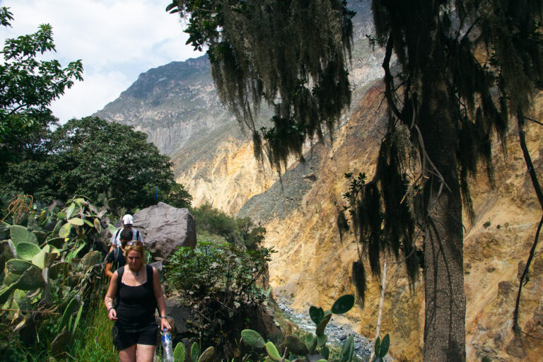 Hikers descending a winding dirt path into Colca Canyon