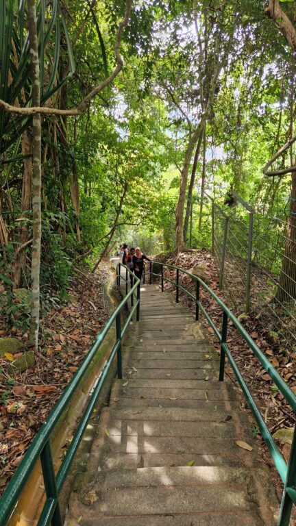 A shaded staircase leading down through a dense tropical forest on the Heritage Trail in Penang