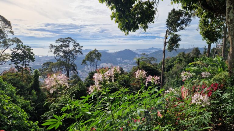 View from Penang Hill looking out over lush tropical foliage and flowers