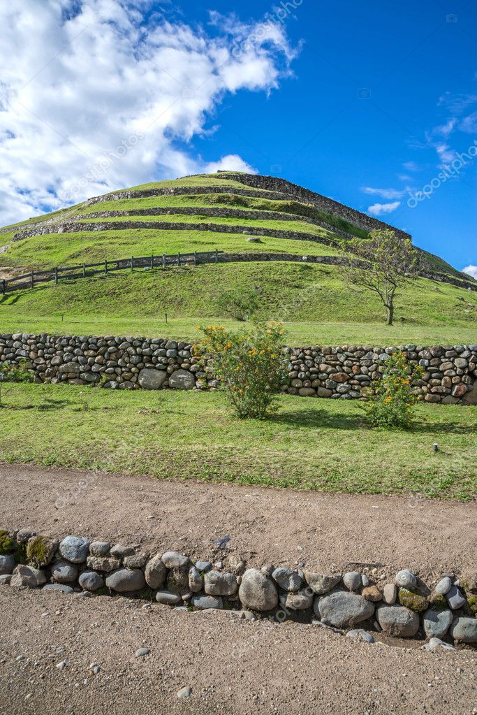 Grassy Incan agricultural terraces rise up a hillside at the Pumapungo Archaeological Park